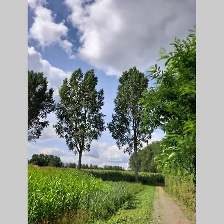 Brabants Genoegen דירה